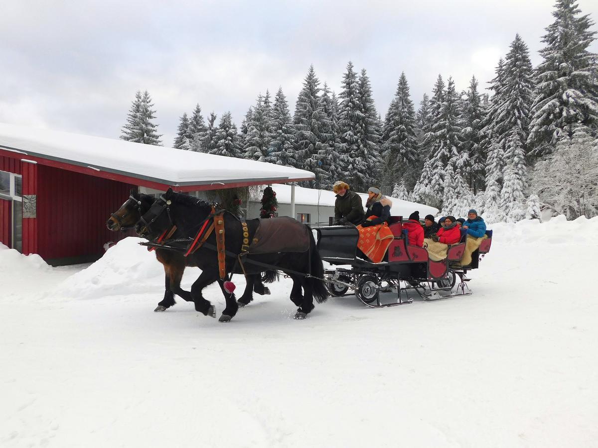 Waldhotel Rennsteighoehe Frauenwald Kültér fotó