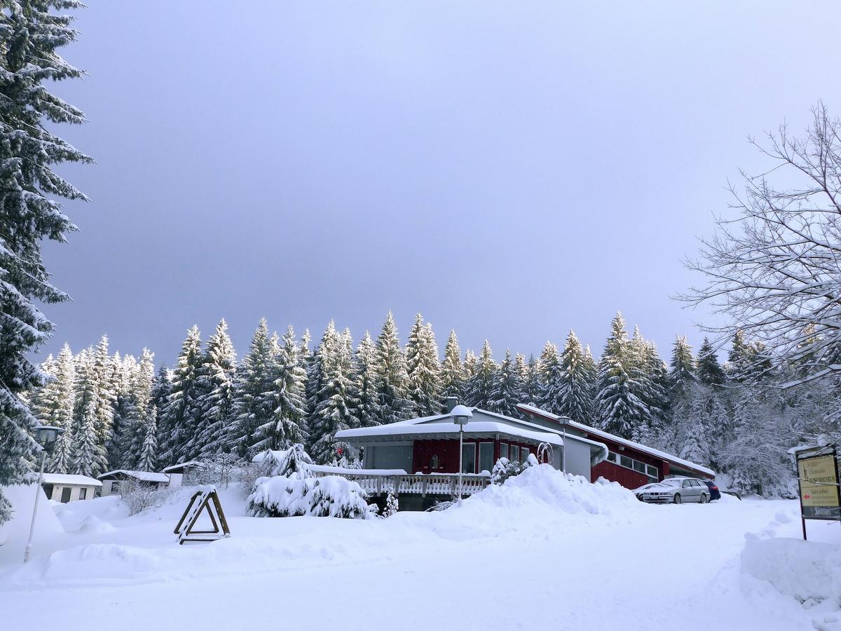 Waldhotel Rennsteighoehe Frauenwald Kültér fotó