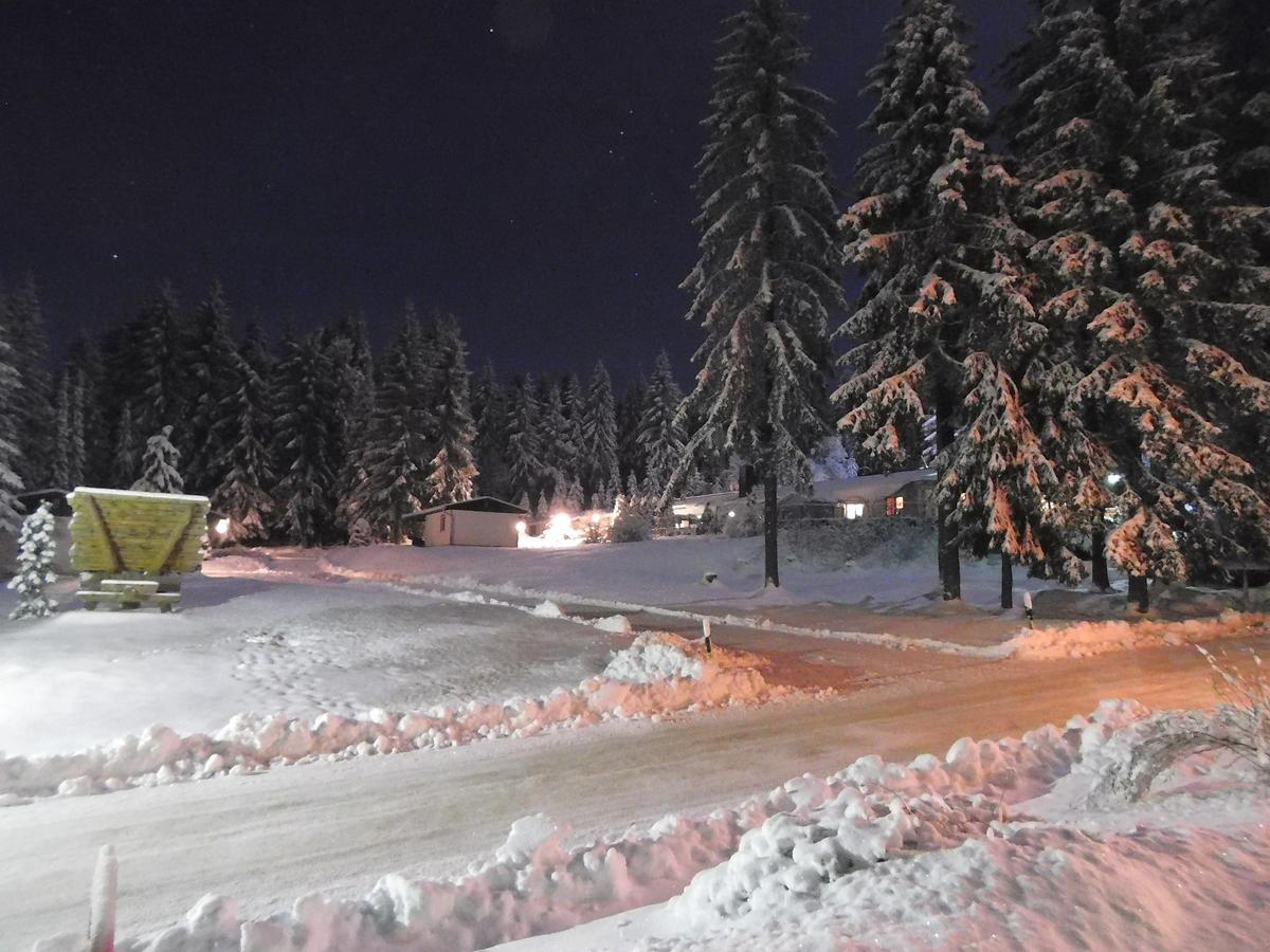 Waldhotel Rennsteighoehe Frauenwald Kültér fotó