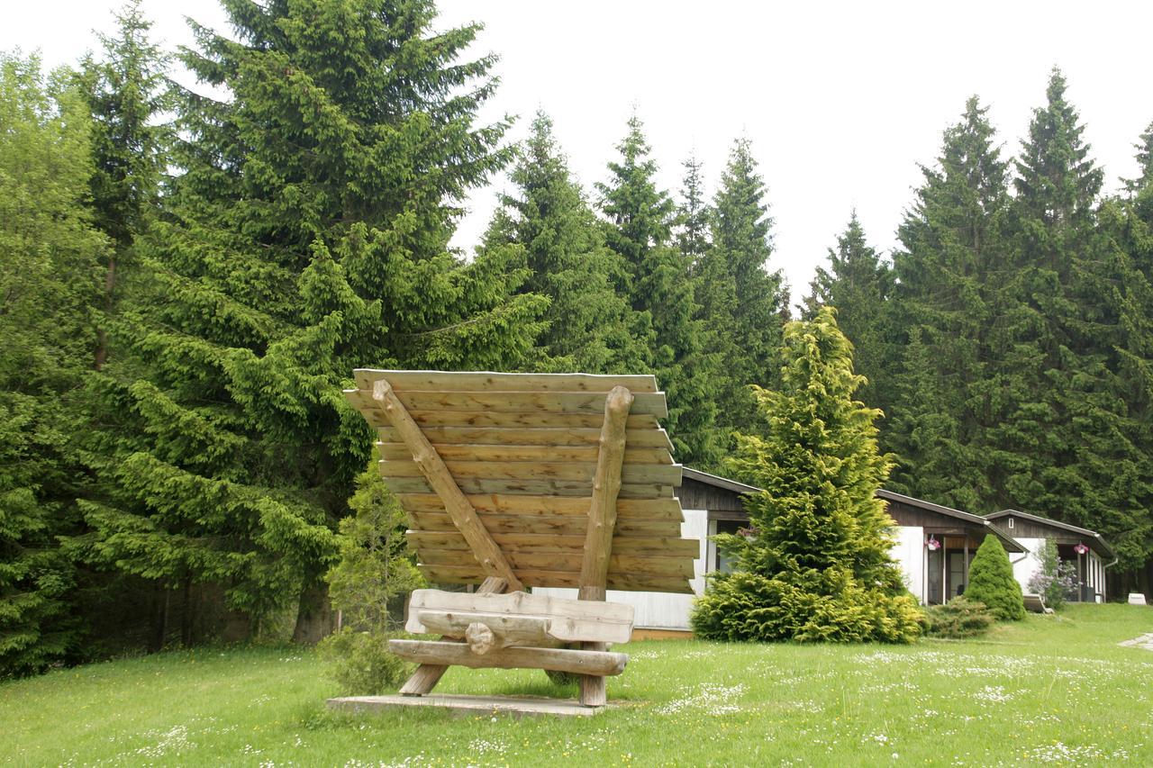 Waldhotel Rennsteighoehe Frauenwald Kültér fotó