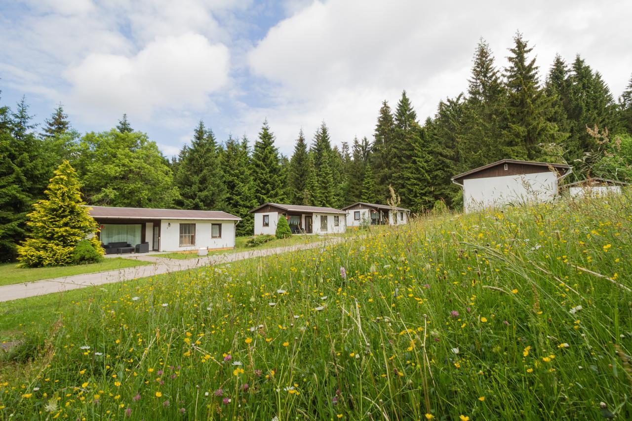 Waldhotel Rennsteighoehe Frauenwald Kültér fotó